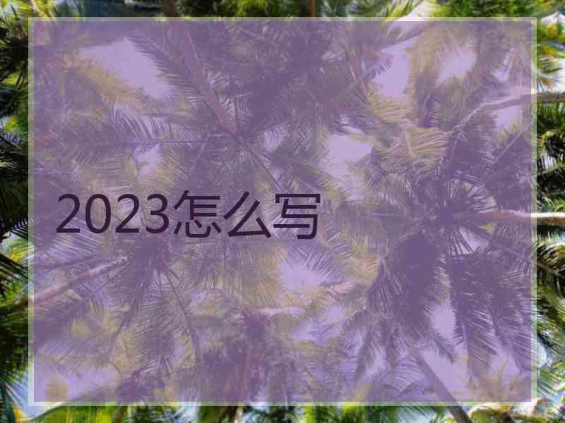 2023怎么写