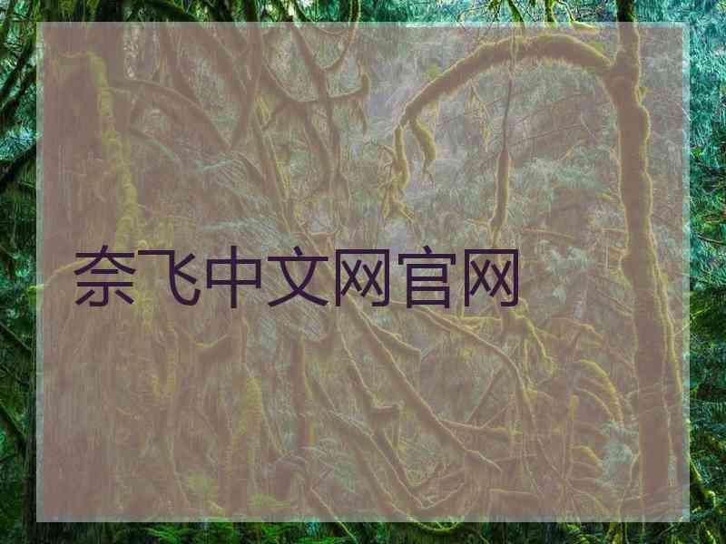 奈飞中文网官网