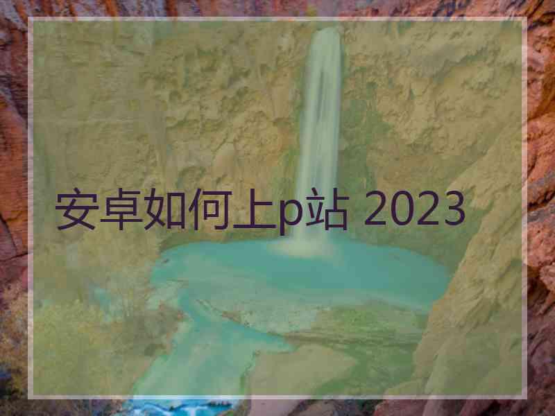 安卓如何上p站 2023