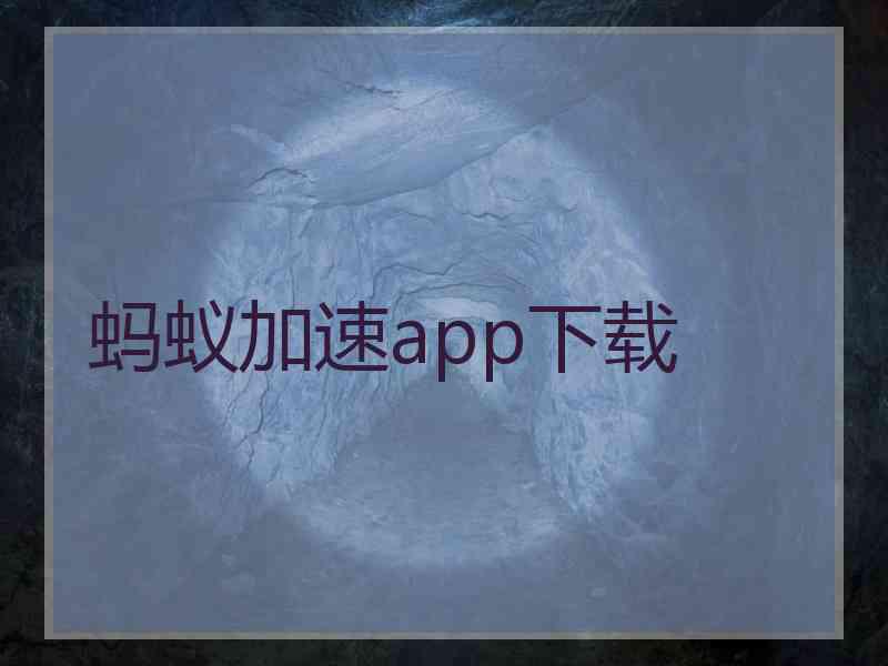 蚂蚁加速app下载