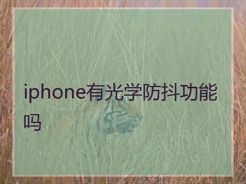 iphone有光学防抖功能吗
