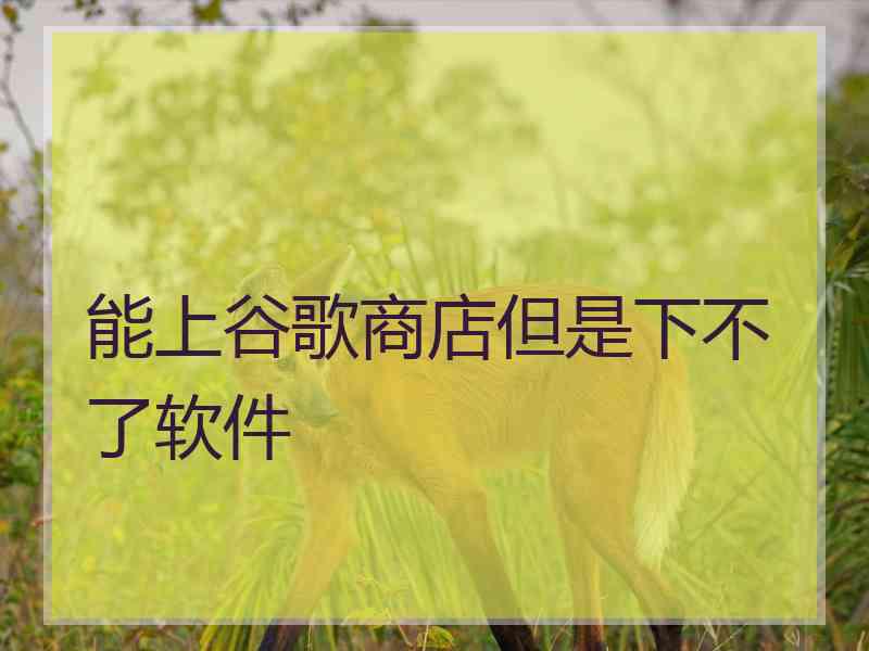 能上谷歌商店但是下不了软件