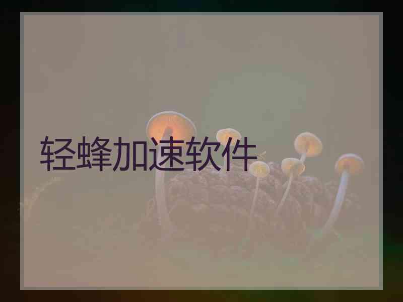 轻蜂加速软件