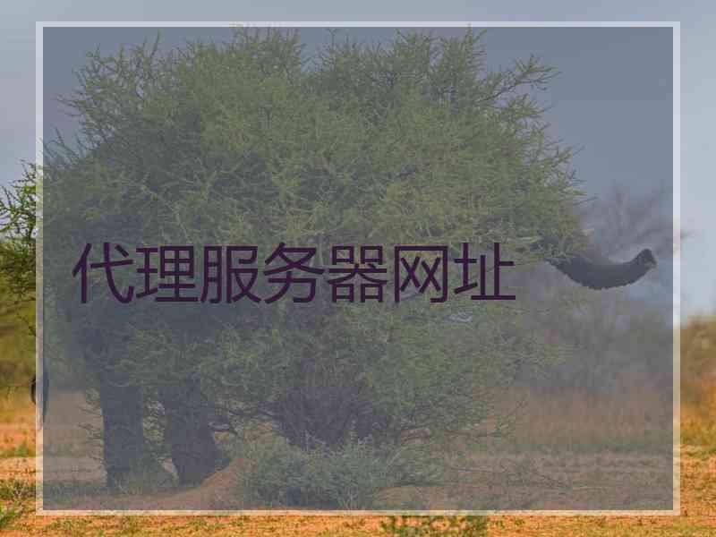 代理服务器网址