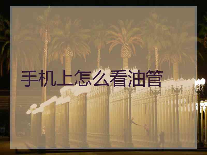 手机上怎么看油管