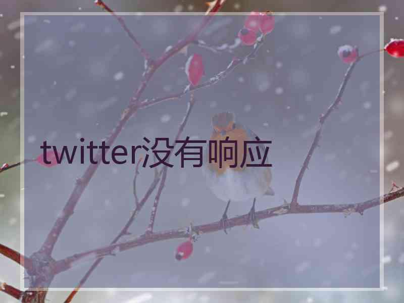 twitter没有响应