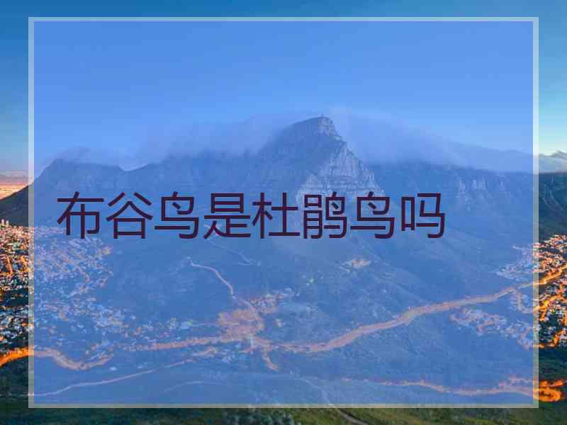 布谷鸟是杜鹃鸟吗
