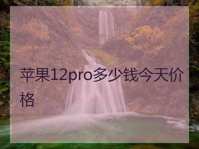苹果12pro多少钱今天价格