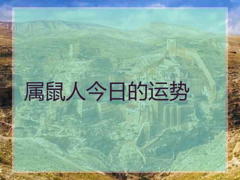 属鼠人今日的运势