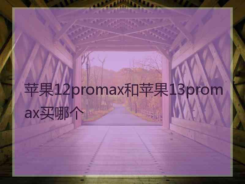 苹果12promax和苹果13promax买哪个