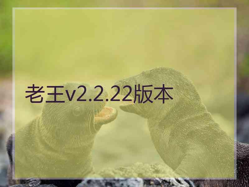 老王v2.2.22版本