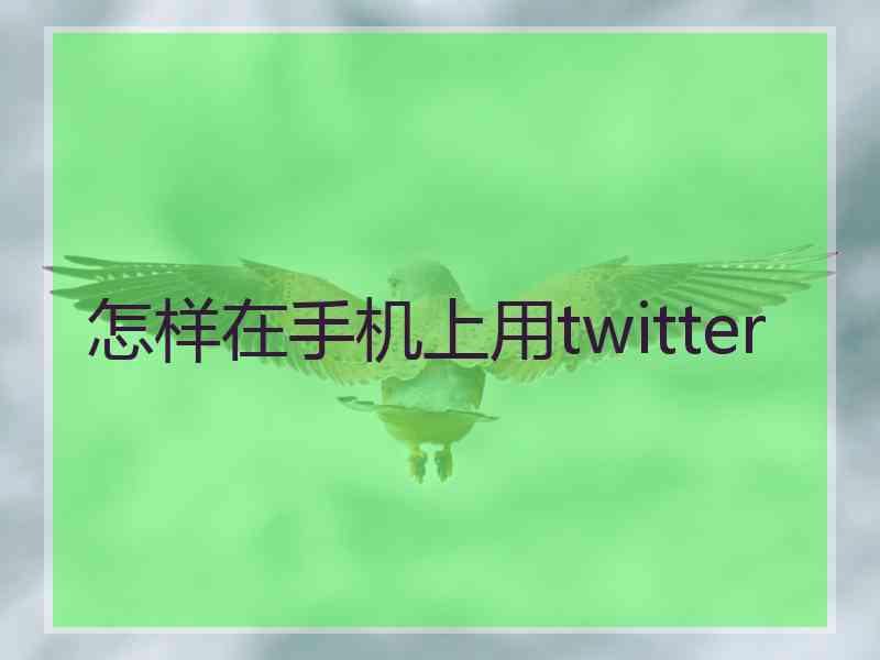 怎样在手机上用twitter