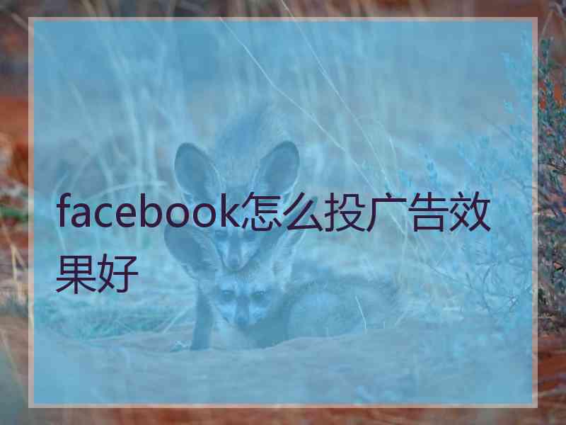 facebook怎么投广告效果好