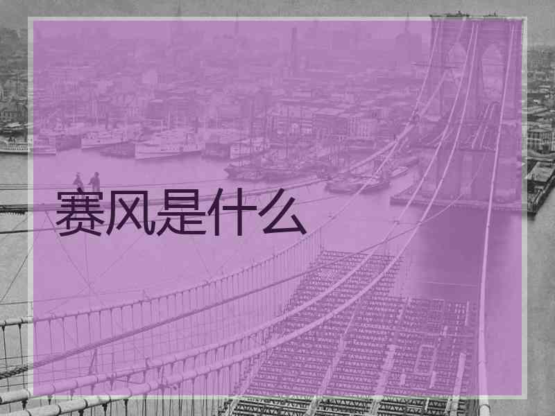 赛风是什么