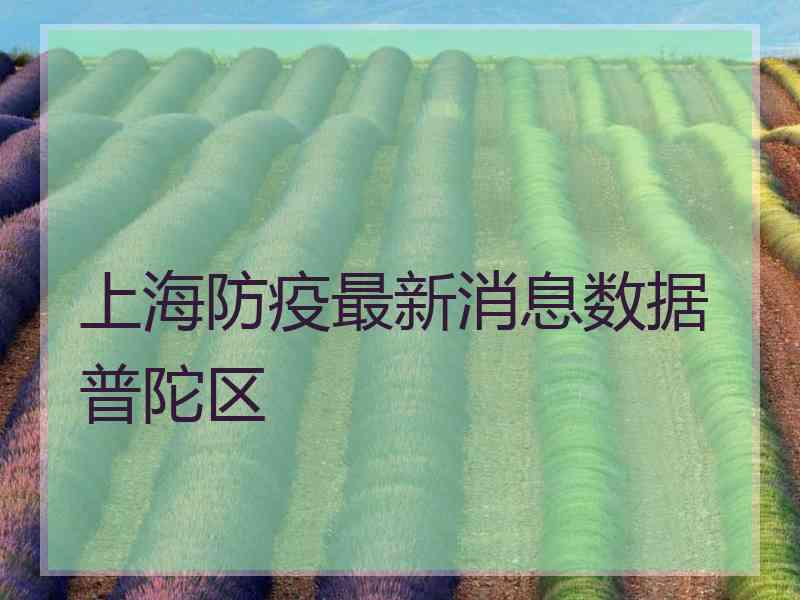 上海防疫最新消息数据普陀区
