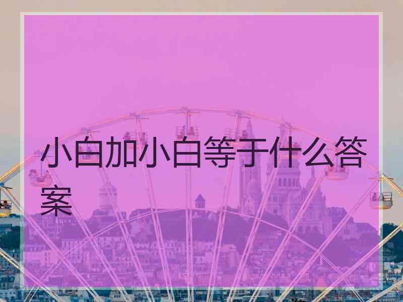 小白加小白等于什么答案