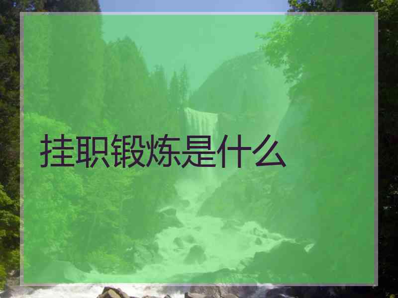挂职锻炼是什么