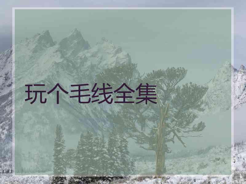 玩个毛线全集