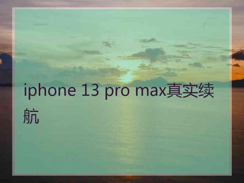iphone 13 pro max真实续航
