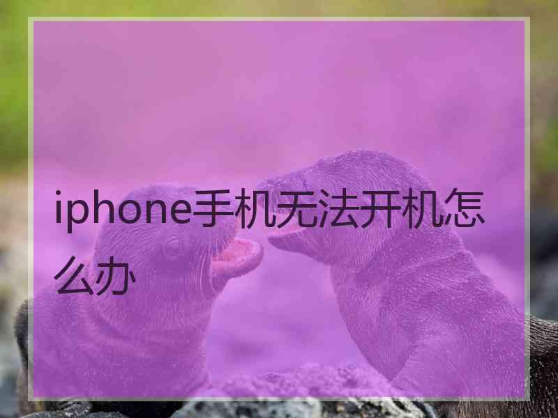 iphone手机无法开机怎么办