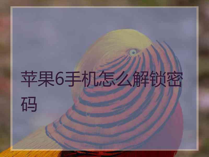 苹果6手机怎么解锁密码