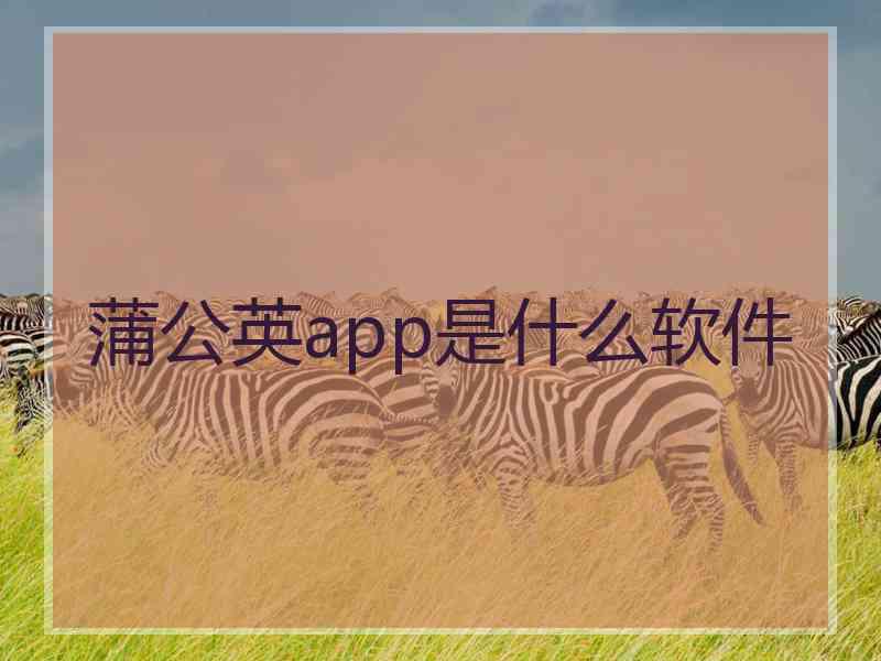 蒲公英app是什么软件