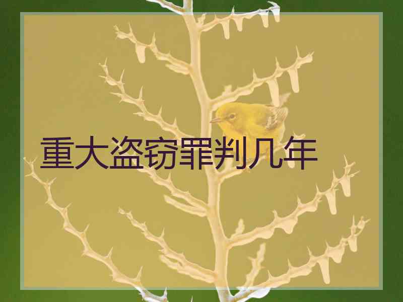 重大盗窃罪判几年