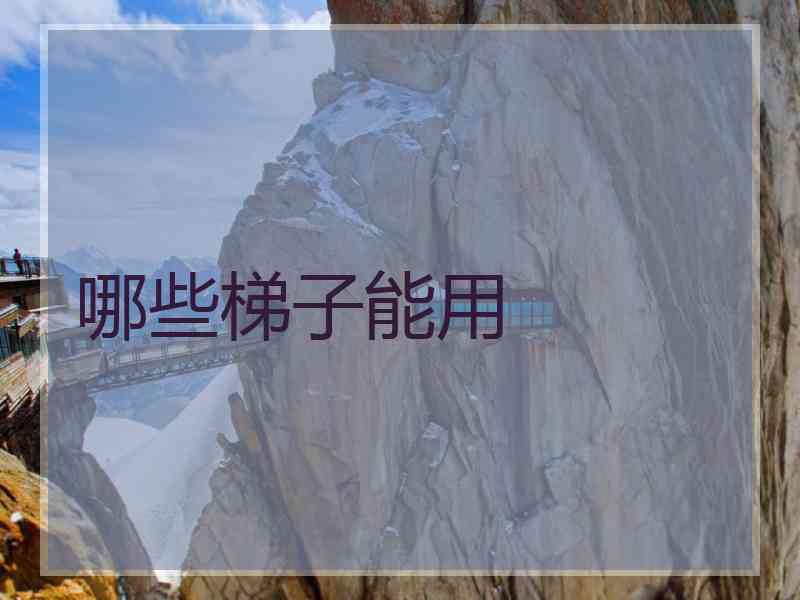 哪些梯子能用