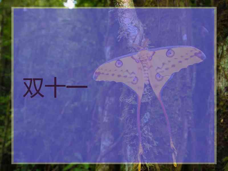 双十一