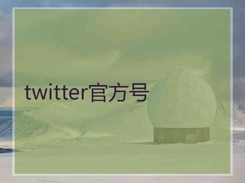 twitter官方号
