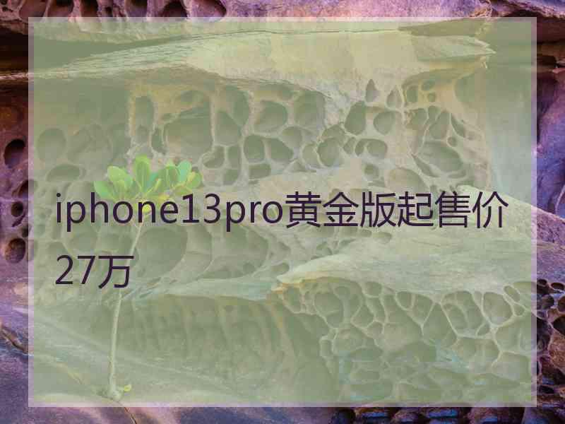 iphone13pro黄金版起售价27万