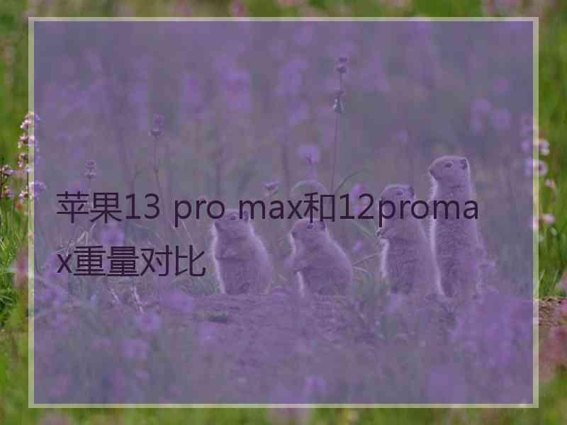 苹果13 pro max和12promax重量对比
