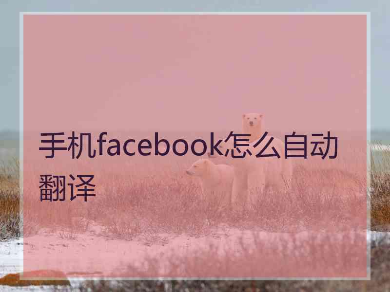 手机facebook怎么自动翻译