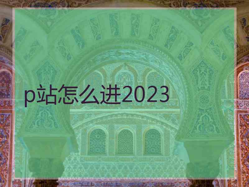 p站怎么进2023