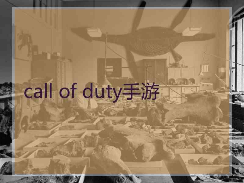 call of duty手游