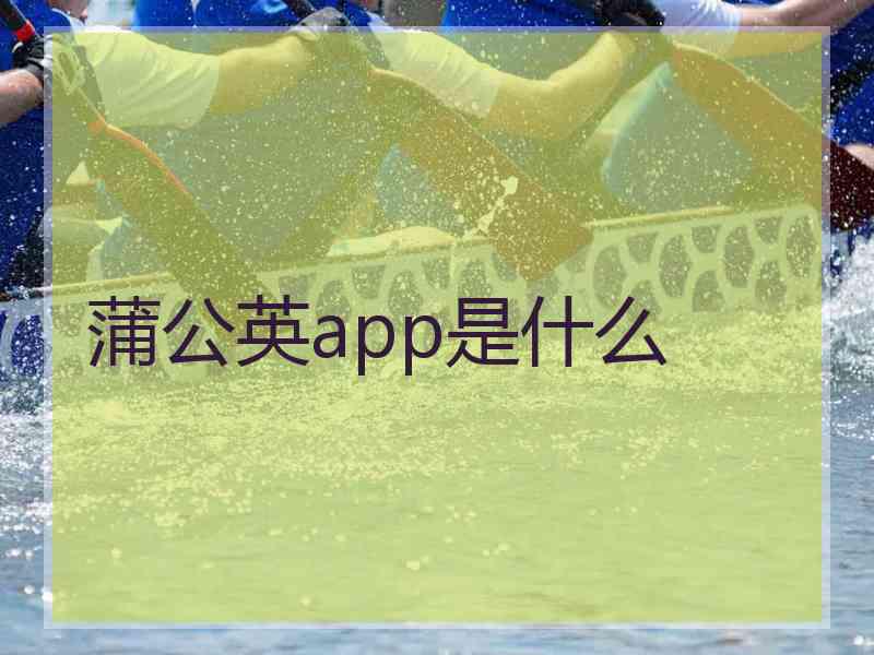 蒲公英app是什么