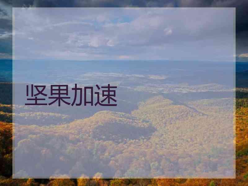 坚果加速