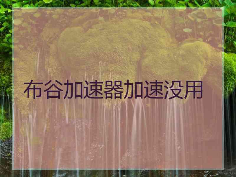 布谷加速器加速没用