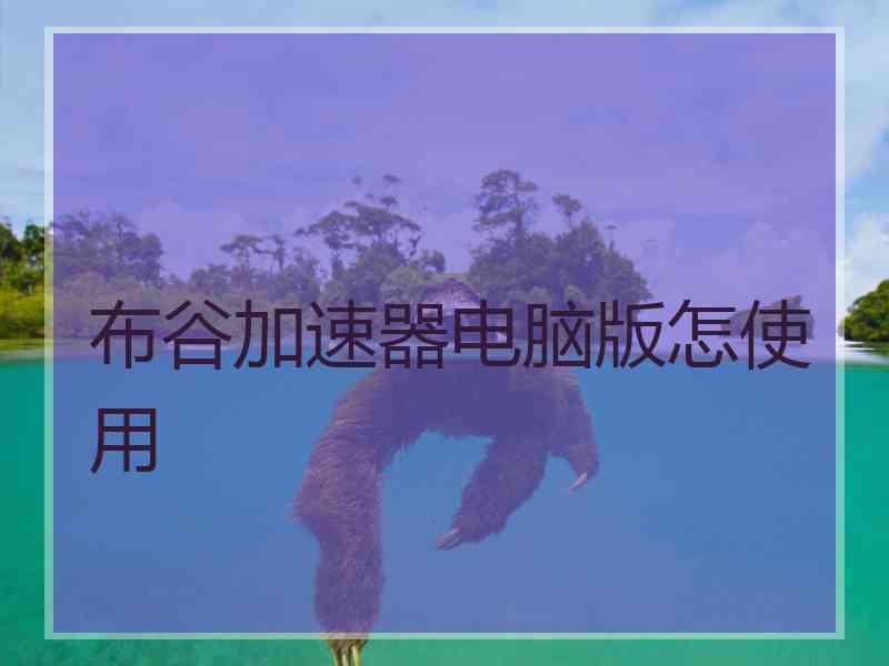 布谷加速器电脑版怎使用