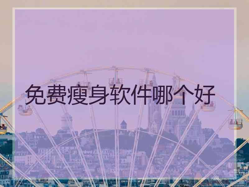 免费瘦身软件哪个好