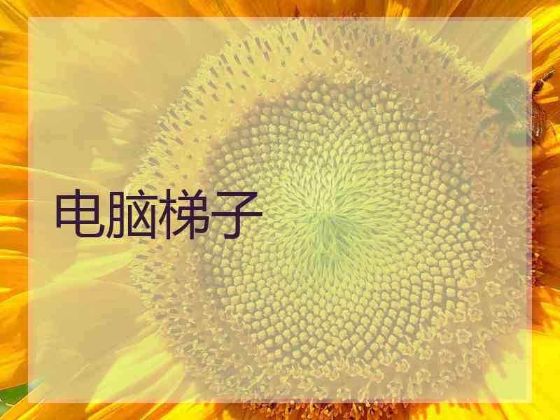 电脑梯子