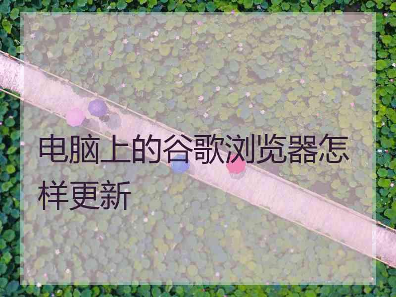 电脑上的谷歌浏览器怎样更新
