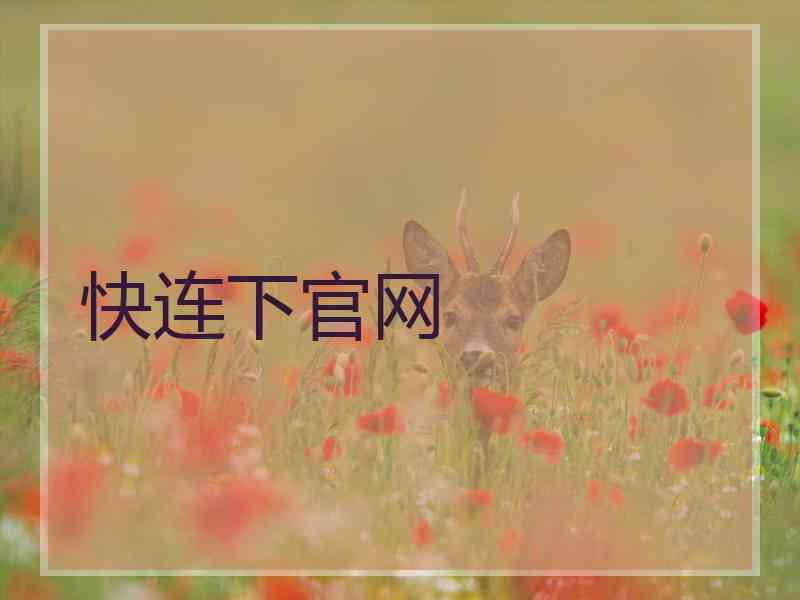 快连下官网