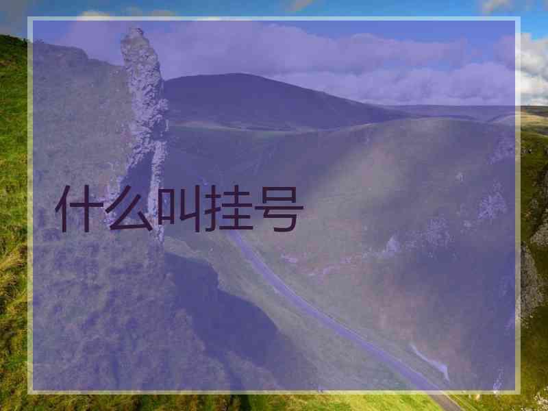 什么叫挂号