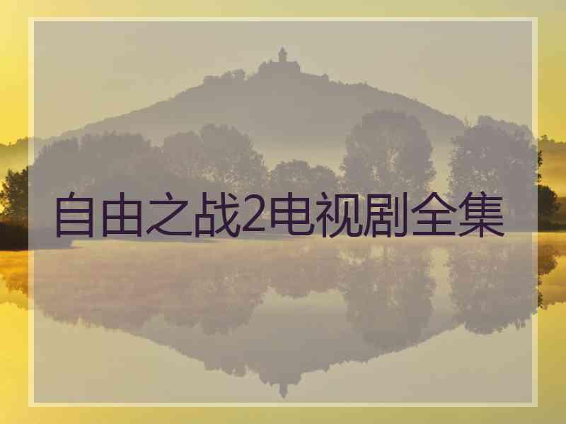 自由之战2电视剧全集