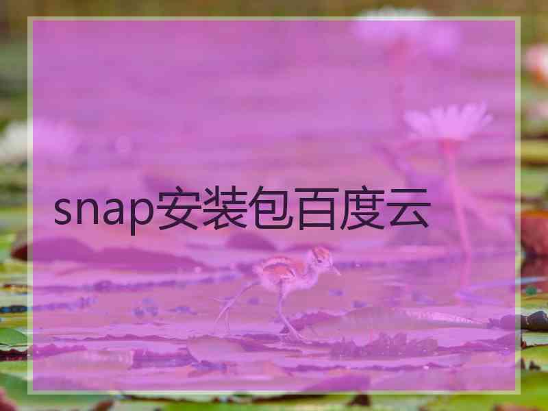 snap安装包百度云