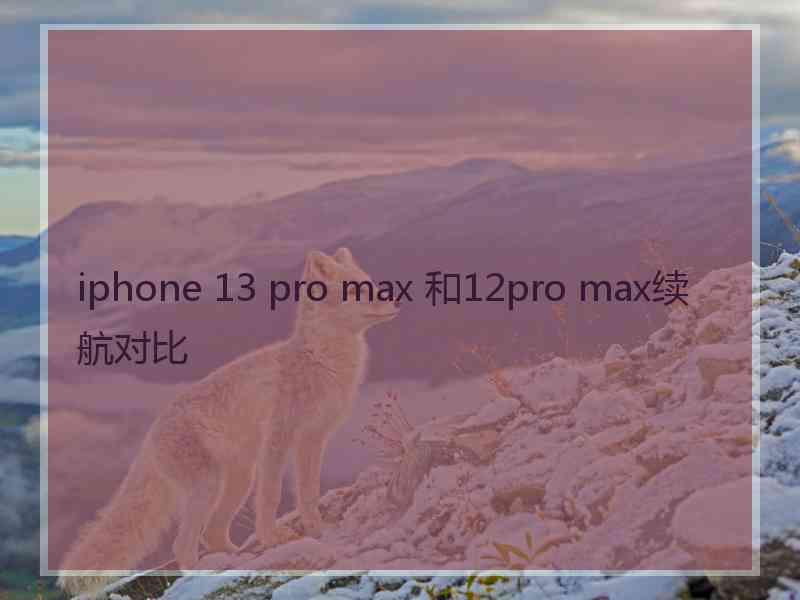 iphone 13 pro max 和12pro max续航对比