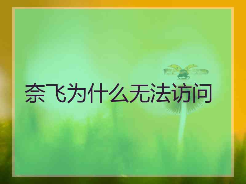 奈飞为什么无法访问