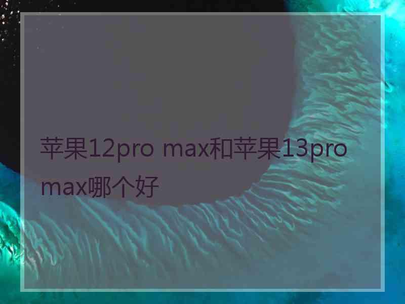 苹果12pro max和苹果13promax哪个好