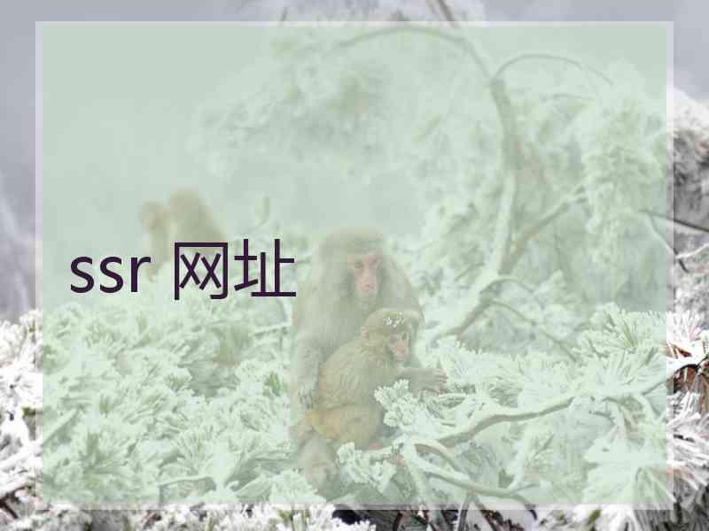 ssr 网址